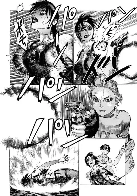 Ammo Vol 2