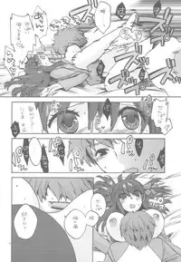 (C78) [TRIP SPIDER (niwacho)] Crime and affection (Fate/stay night)