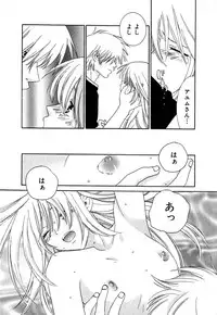 [Kiyoka] CLIP
