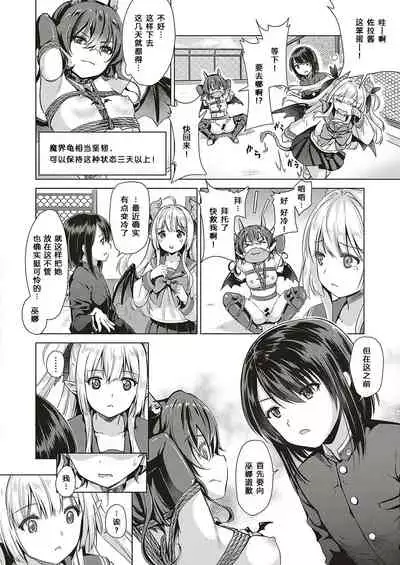 Succubus Company