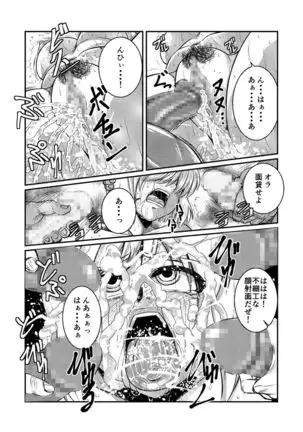 Toraware Ohime-sama