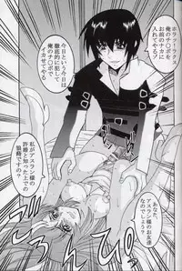 [St. Rio (Kitty, Ishikawa Ippei)] COSMIC BREED 4 (Gundam SEED DESTINY)