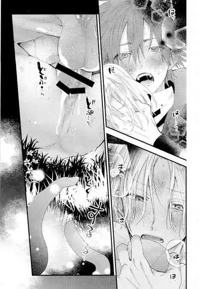 kimi shika mienai yo