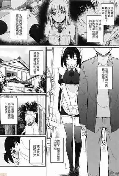 Houshi Shuzoku ga Yattekita!