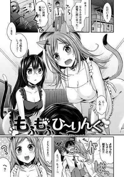 Hajirai Honey