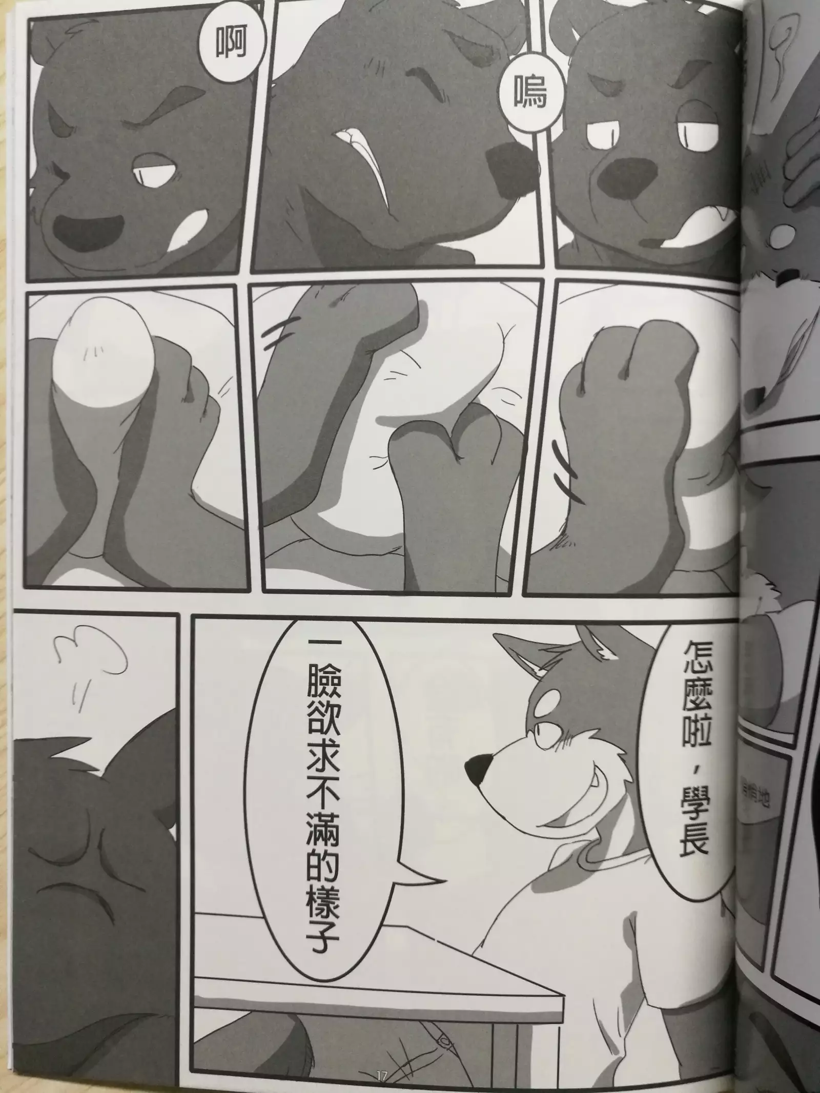 Kuma Senpai