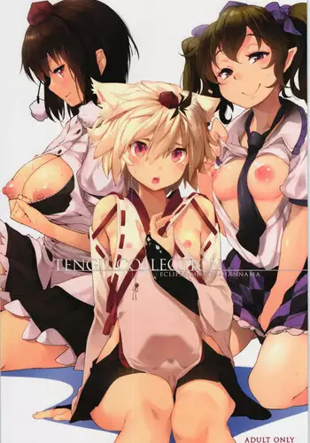 (Reitaisai 10) [Hannama (Soine)] MECHASICO!! (Touhou Project) [Chinese] [黑条汉化]