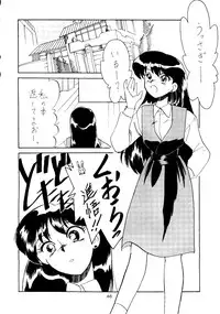 [T2 UNIT, RyuukiSya, Sakura ROC (Various)] LUNATIC ASYLUM (Sailor Moon)