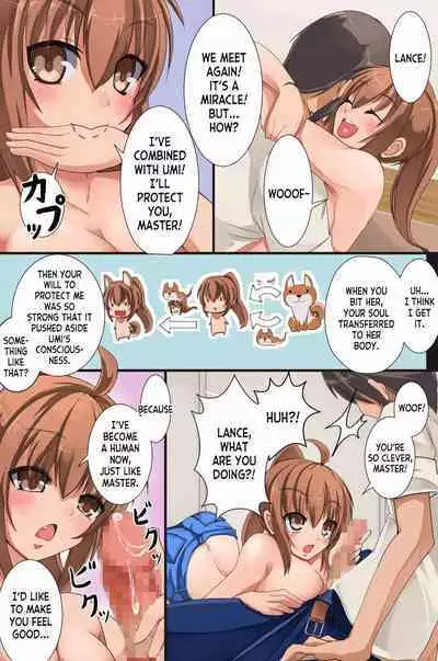Mesu Inu Harem