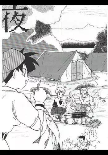 Gohan x Videl Stuff