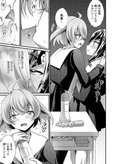 Etchina otokonoko no sodate-kata