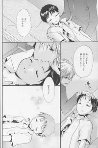 (C77) [RAYTREC (Fuyunagi Reku)] +PLUS (Neon Genesis Evangelion)