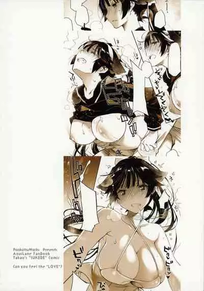 Kakin Shikikan, Fuku o Kau.
