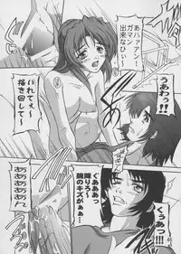 (C67) [Studio Q (Natsuka Q-Ya)] Lacus Soushuuhen Destiny (Gundam Seed)