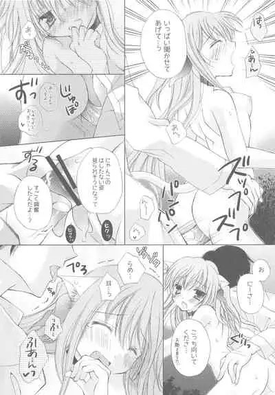 Onii-san to Nyanko Soushuuhen