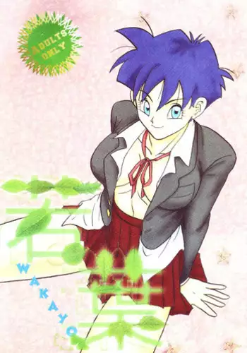 [Chirigami Goya & Fusuma go Ten (Shouji Haruzo)] Taresotsu (Dragon Ball Z)