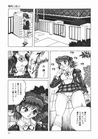 [Sawamura Mekichi] Suki Suki Obutsu Shori Musume