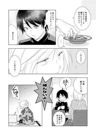 Hako no Naka no Neko Soushuuhen