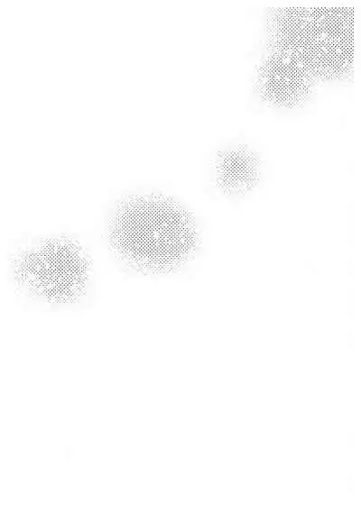Ore-tachi no Saikou no Katachi