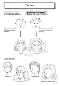Hikaru Hayashi - Techniques For Drawing Female Manga Characters