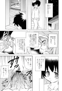 [Yasui Hirosato] Tennen Milk Pie