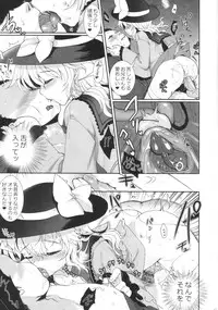 (Reitaisai10) [Kuma-tan Flash! (Hanao)] Muishiki no Kyuuai Koudou (Touhou Project)