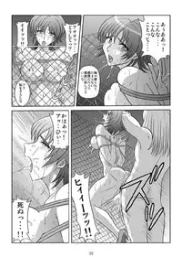 [Akiyama Production (Kurauda Shouta)] Binyuu Kari 2 (Witchblade) [Digital]