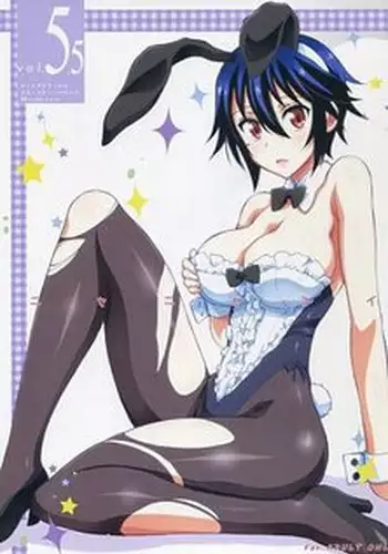(C88) [Project Harakiri (Kaishaku)] Nisenisekoi 6 (Nisekoi) [Chinese]
