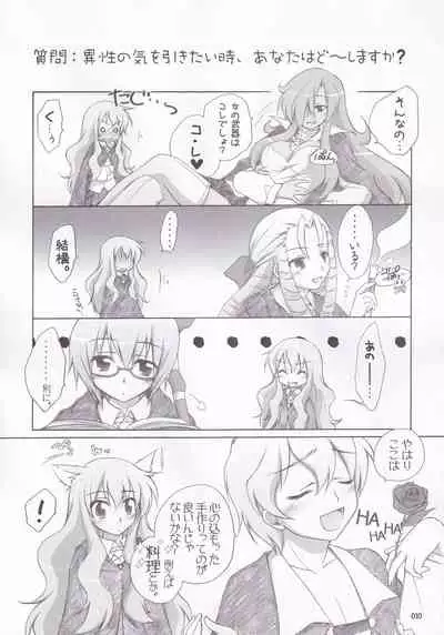 Ruizukushi