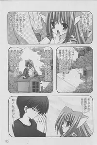 Comic Moog 2006-07