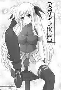 (C92) [Rivajima (Yajima Index)] Fate Shinsatsushitsu (Mahou Shoujo Lyrical Nanoha)