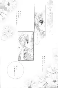 (C63) [Sakurakan (Seriou Sakura)] Manten no Hoshizora o Anata ni (Inuyasha)