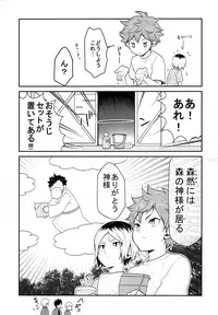 (IDLING ATTACKER7) [Chigen TORINO (S.kosugi)] Hina Neko (Haikyuu!!)