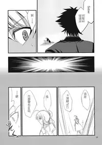 (C82) [SKUG (BUSHI)] Saber ni Chinko ga Haeru Hon (Fate/zero) [Chinese] [逆襲漢化]