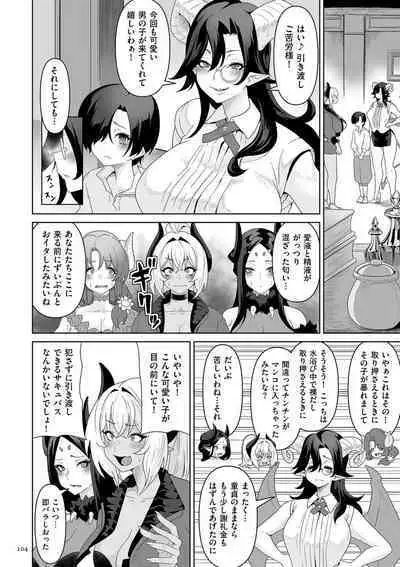Succubus Kingdom