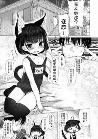 (C88) [Himitsukessya Usagi (Dancyo)] CUSTOM LOVECATs 2nd [Chinese] [JoeOtaku+Ace汉化]