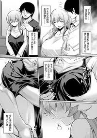 Ibitsu na Kankei