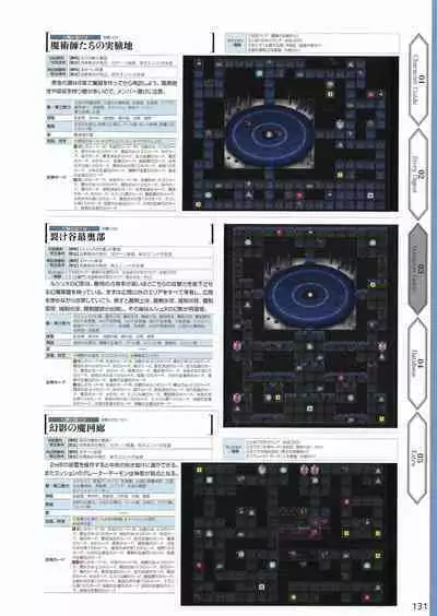 Amayui Labyrinth Meister Perfect Guidebook
