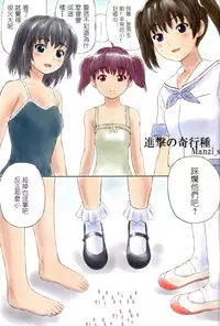 (C84) [Ashurame Gajoh (Various)] Kyodai Musume no Yakata [Chinese]