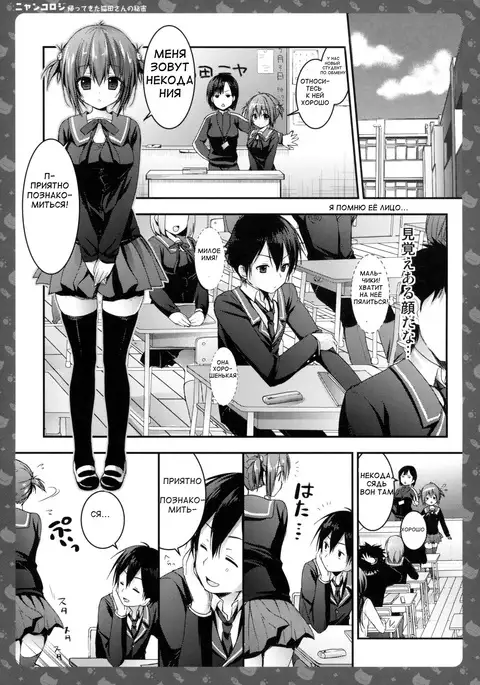 Nyancology -Kaettekita Nekota-san No himitsu-