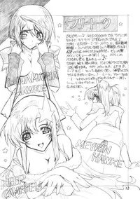(C69) [WILD KINGDOM (Sensouji Kinoto)] From A to Z (Gundam SEED DESTINY)