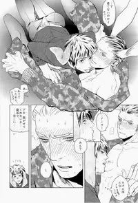(C83) [MORBID+LOVERS (Show)] EROTICS (Hetalia: Axis Powers)