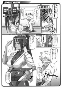 (C81) [Diogenes Club (Haikawa Hemlen)] BRICOLA Soushuuhen (BLEACH) [Digital]