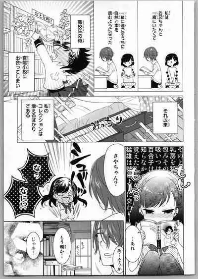 Onii-chan dakedo Ecchi ga Shitai