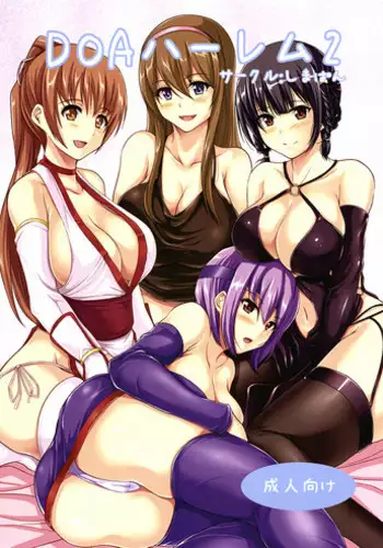 (C80) [ShimaPan (Ominaeshi)] DOA Harem (Dead or Alive) [English] [QB translations]