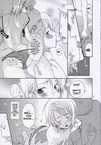 ZoroNami Sairoku