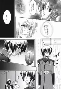 (C67) [Vitamin-x (Sanmangoku Hoshiko)] GOLD DUST (Gundam SEED DESTINY)