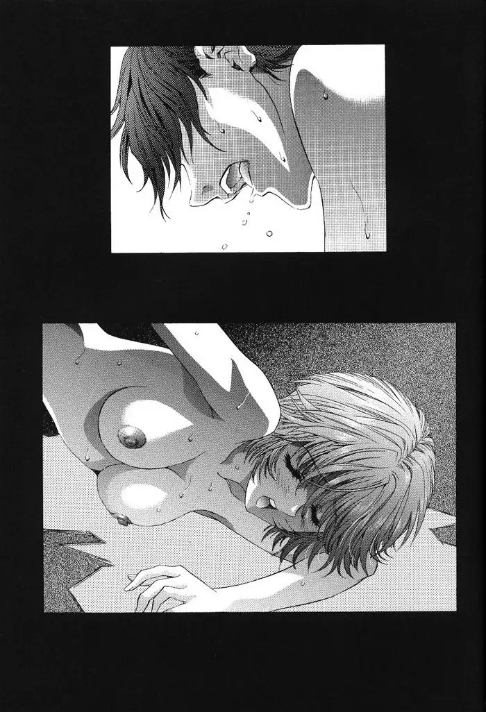Ayanami Club 1