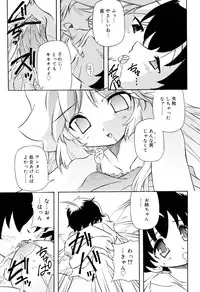 [Yasui Hirosato] Tennen Milk Pie