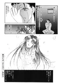 [Amayumi] Sakura Sakura